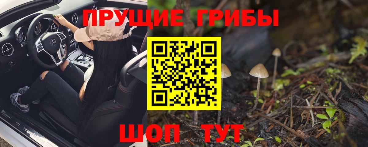 Псилоцибиновые грибы мицелий Урус-Мартан