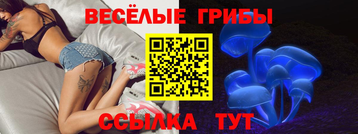 Урус-Мартан  Галлюциногенные грибы Cubensis  Псилоцибиновые грибы Magic Shrooms  Вход с VPN 